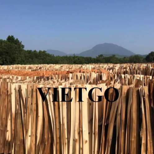 Thương vụ xuất khẩu ván bóc sang thị trường Ấn Độ 