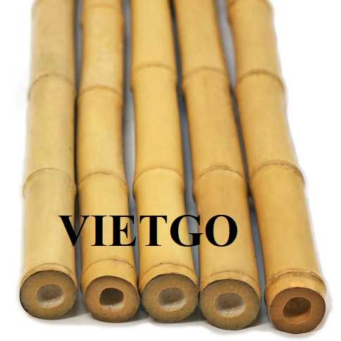 Cơ hội xuất khẩu gậy tre sang thị trường UAE