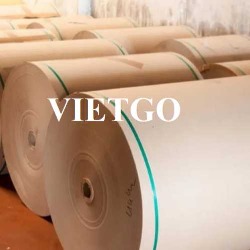 Cơ hội xuất khẩu cuộn giấy kraft sang thị trường Trung Quốc