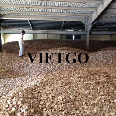 Cơ hội hợp tác xuất khẩu sắn lát đầy hấp dẫn sang thị trường Trung Quốc