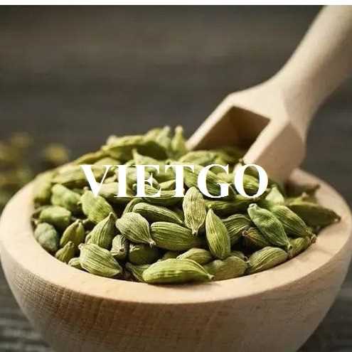 Cơ hội xuất khẩu thảo quả đến thị trường Ấn Độ