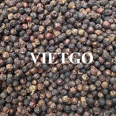 Cơ hội xuất khẩu hạt tiêu sang thị trường Ai Cập