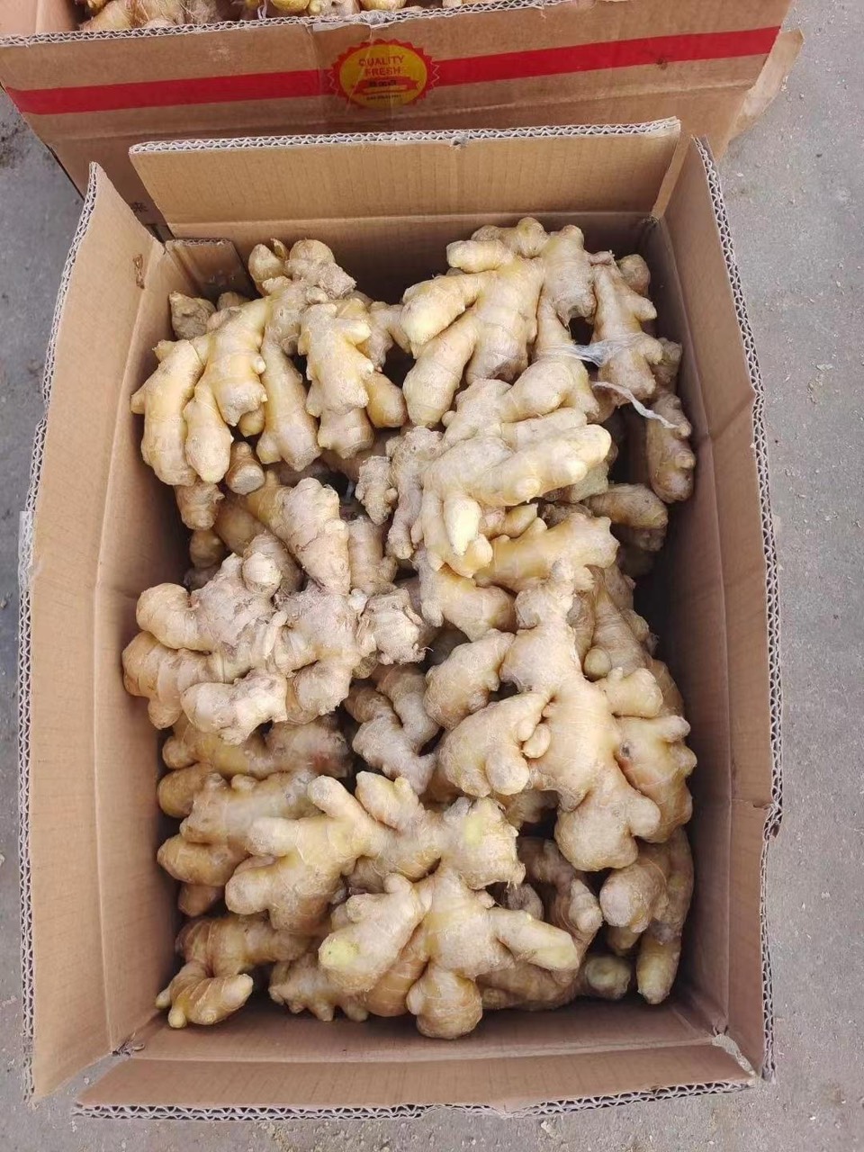 Công ty TNHH An Tâm 247 cần tìm FWD 
