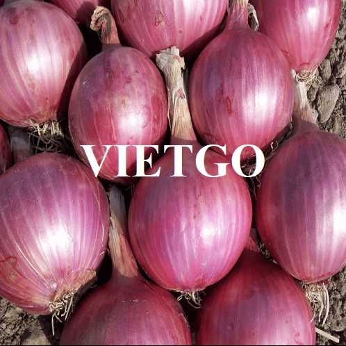 Cơ hội hợp tác xuất khẩu hành đến thị trường Ấn Độ