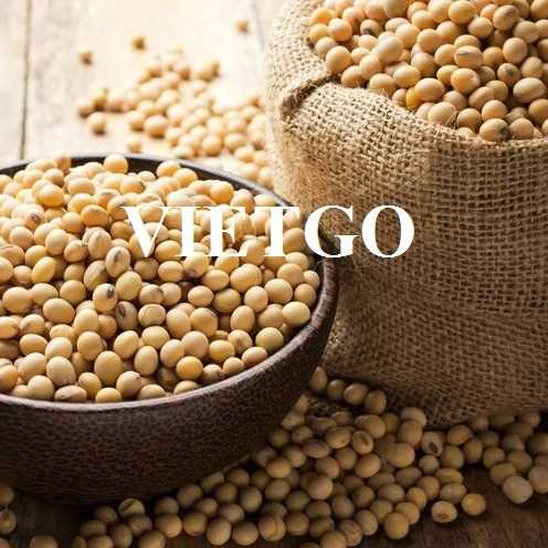 Thương vụ hợp tác xuất khẩu đậu nành đến thị trường Ả Rập Xê-út