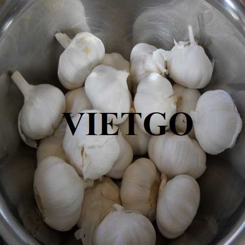 Cơ hội hợp tác xuất khẩu tỏi sang thị trường Bangladesh