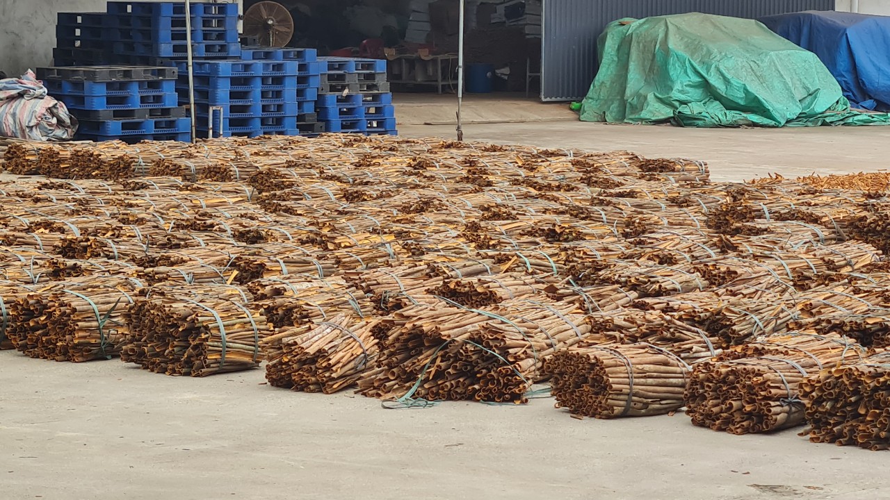Công ty XNK Minh Sơn cần tìm cước vận tải biển cho hàng quế đi Ấn Độ