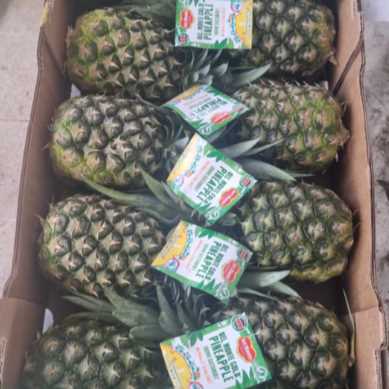 I am looking for Pineapple