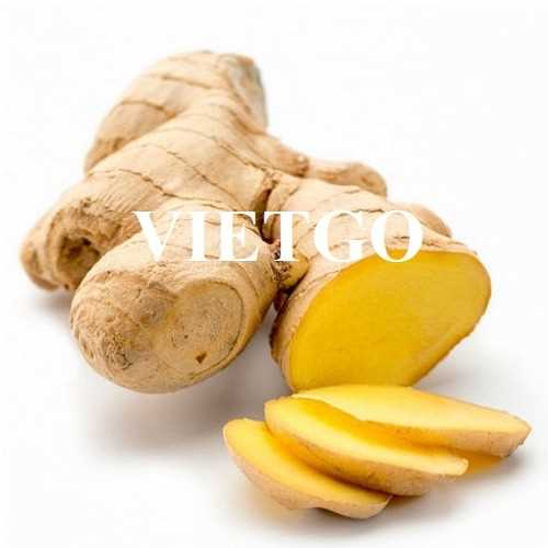 Cơ hội hợp tác xuất khẩu sản phẩm gừng tới thị trường UAE