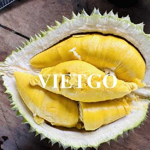 Cơ hội hợp tác xuất khẩu sầu riêng đầy hấp dẫn sang thị trường Trung Quốc