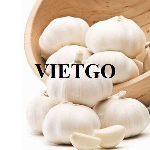 Cơ hội hợp tác xuất khẩu tỏi đến thị trường Bangladesh