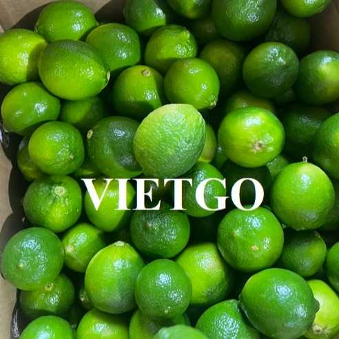 Thương vụ hợp tác xuất khẩu chanh sang thị trường Maldives