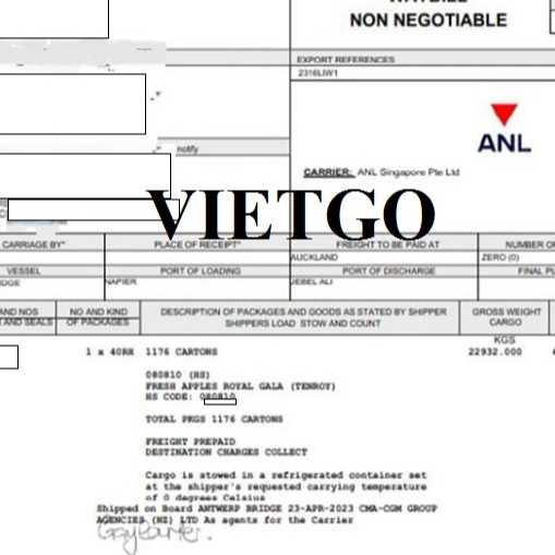 Vị khách hàng đến từ UAE đang tìm kiếm đại diện thương mại hợp tác tại Việt Nam