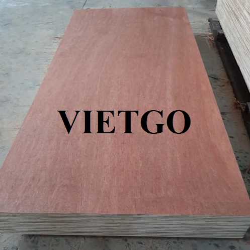 Thương vụ xuất khẩu gỗ dán sang thị trường Ấn Độ 