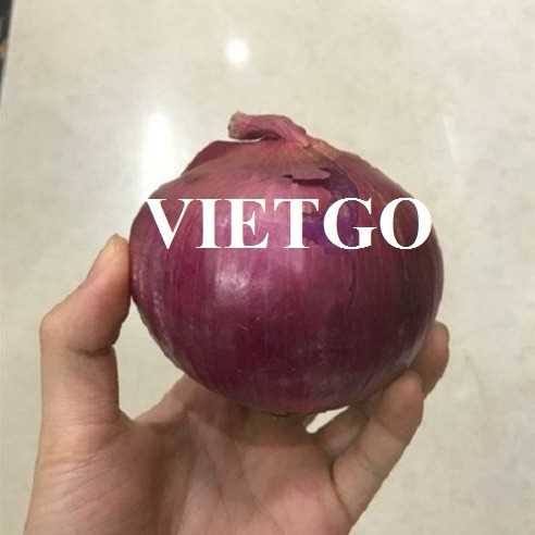 Thương vụ xuất khẩu sản phẩm hành tím đến thị trường Oman