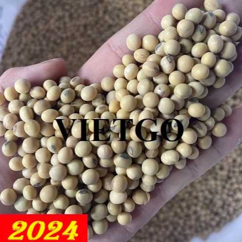 Thương vụ hợp tác xuất khẩu đậu nành sang thị trường Trung Quốc