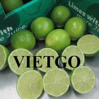 Thương vụ hợp tác xuất khẩu chanh sang thị trường Hà Lan
