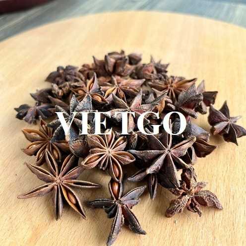 Thương vụ hợp tác xuất khẩu sản phẩm quế và hoa hồi sang thị trường Ấn Độ