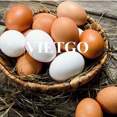 Cơ hội xuất khẩu trứng sang thị trường UAE
