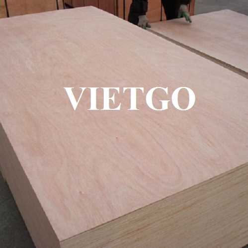 Thương vụ xuất khẩu gỗ dán sang thị trường Ấn Độ 