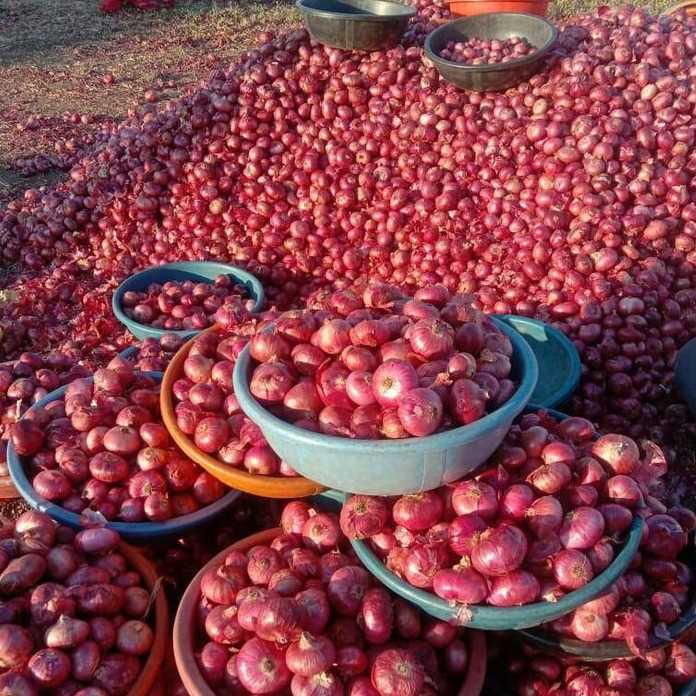 We are looking for suppliers of onions