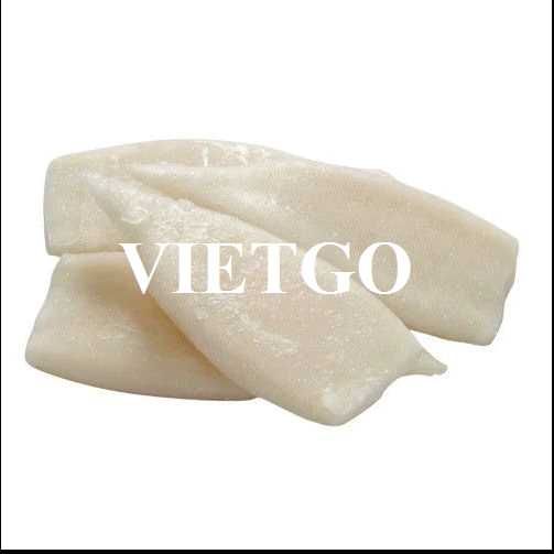Cơ hội xuất khẩu ống mực sang thị trường UAE