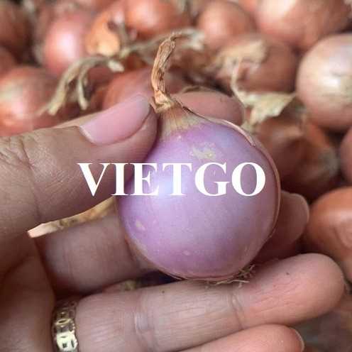 Cơ hội hợp tác xuất khẩu hành tím sang thị trường Bangladesh