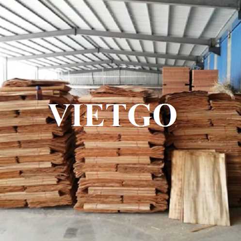 Thương vụ xuất khẩu ván bóc sang thị trường Ấn Độ 