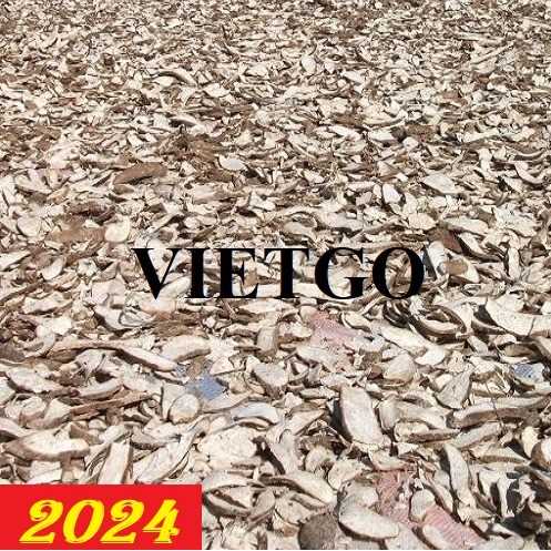 Cơ hội hợp tác xuất khẩu sắn lát sang thị trường Trung Quốc
