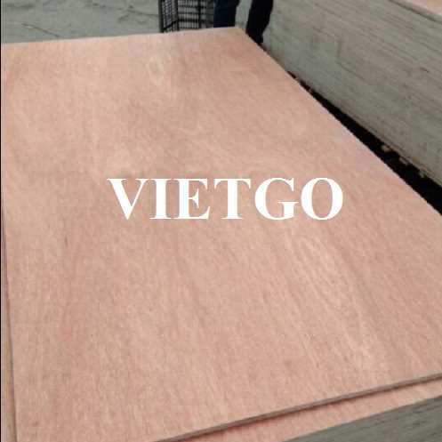 Thương vụ xuất khẩu gỗ dán sang thị trường Ấn Độ 