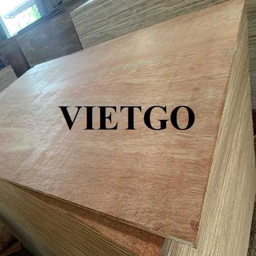 Thương vụ xuất khẩu gỗ dán sang thị trường Ấn Độ