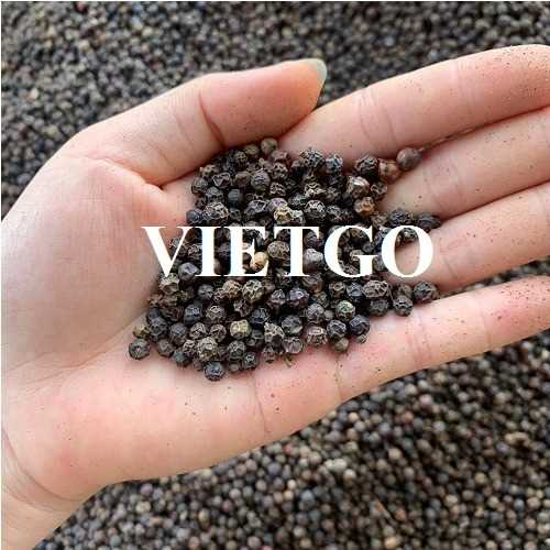 Thương vụ hợp tác xuất khẩu sản phẩm hạt tiêu đen sang thị trường Ấn Độ