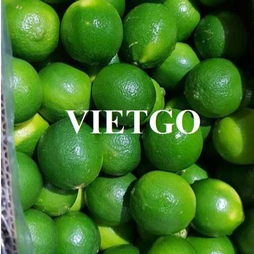 Cơ hội hợp tác xuất khẩu chanh xanh không hạt sang thị trường UAE