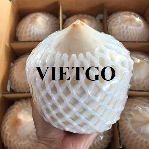 Cơ hội hợp tác xuất khẩu dừa gọt kim cương sang thị trường UAE