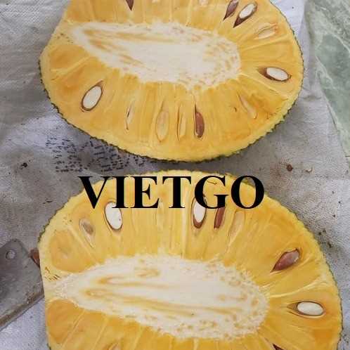 Cơ hội hợp tác xuất khẩu mít sang thị trường Trung Quốc