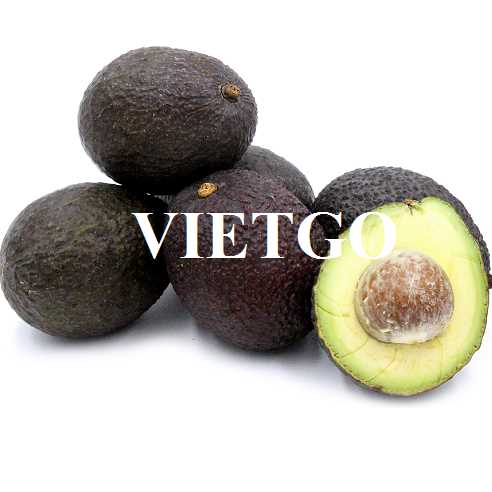 Thương vụ hợp tác xuất khẩu bơ đầy hấp dẫn đến thị trường Tây Ban Nha
