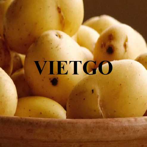 Cơ hội hợp tác xuất khẩu khoai tây sang thị trường Sri Lanka