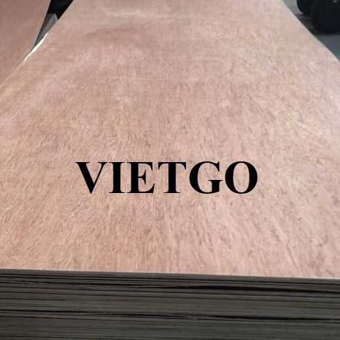 Thương vụ xuất khẩu sản phẩm gỗ dán đến thị trường Iraq