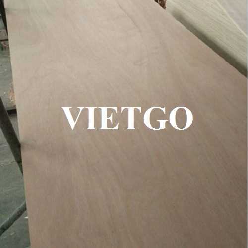 Thương vụ xuất khẩu gỗ dán sang thị trường Ấn Độ 