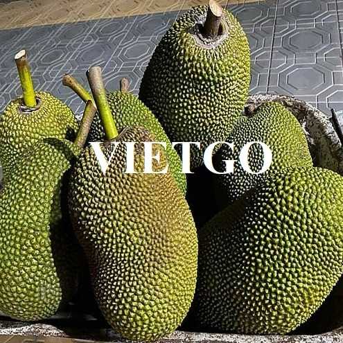 Cơ hội hợp tác xuất khẩu mít đầy hấp dẫn sang Cộng hòa Séc