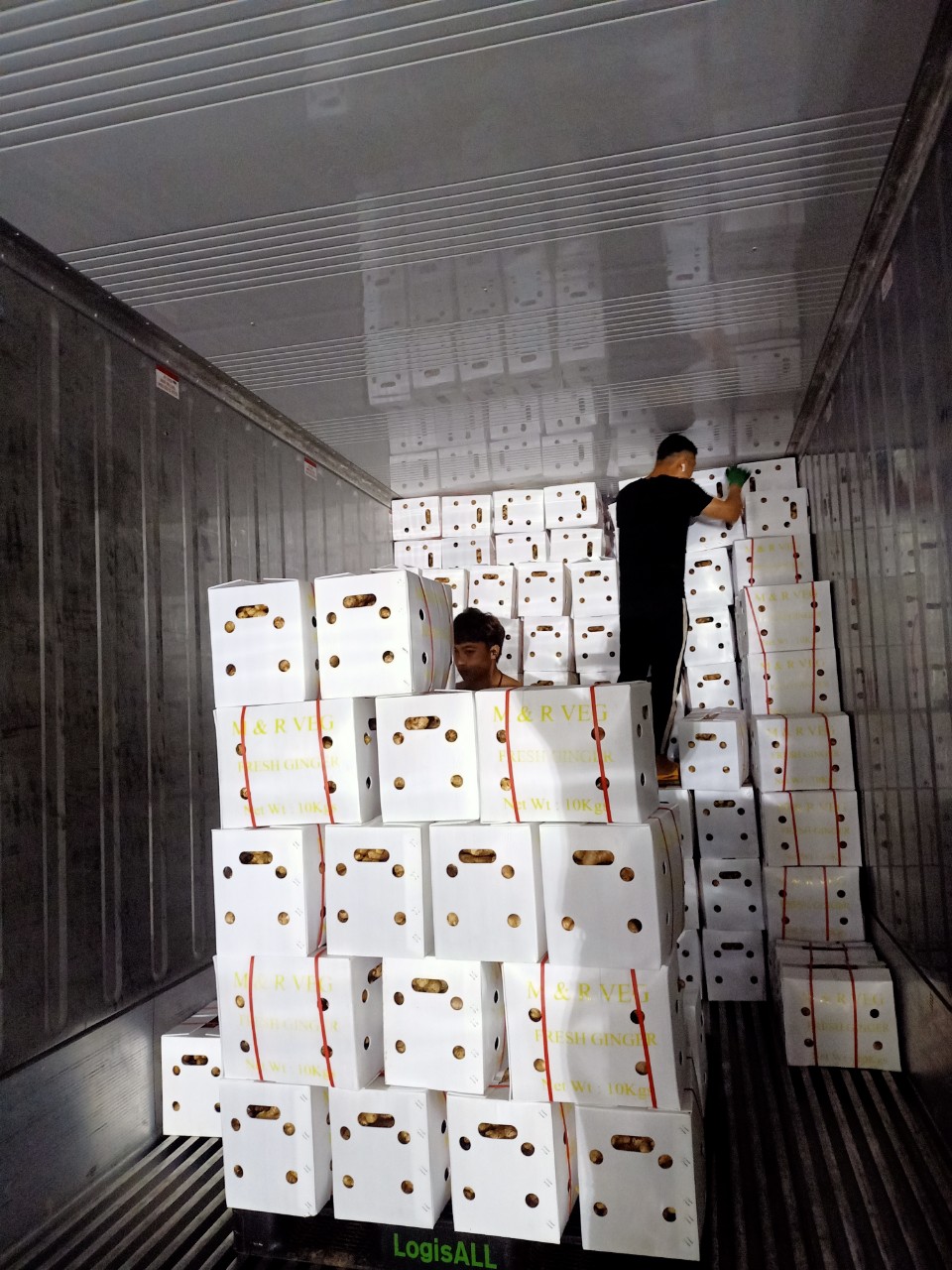 Cần tìm đơn vị vận tải biển mặt hàng Gừng đi UAE
