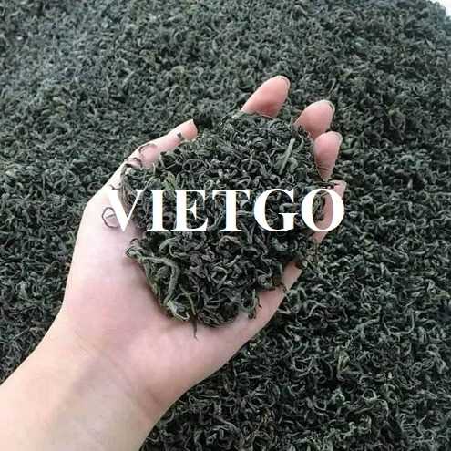 Cơ hội hợp tác xuất khẩu chè xanh tới thị trường Pakistan  