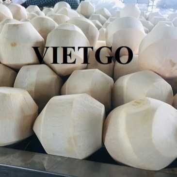 Cơ hội hợp tác xuất khẩu dừa tươi gọt kim cương đến thị trường Iran 