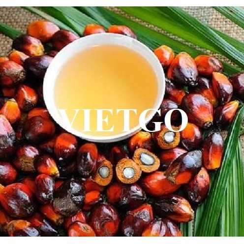 Thương vụ xuất khẩu dầu cọ đầy hấp dẫn sang thị trường Hà Lan