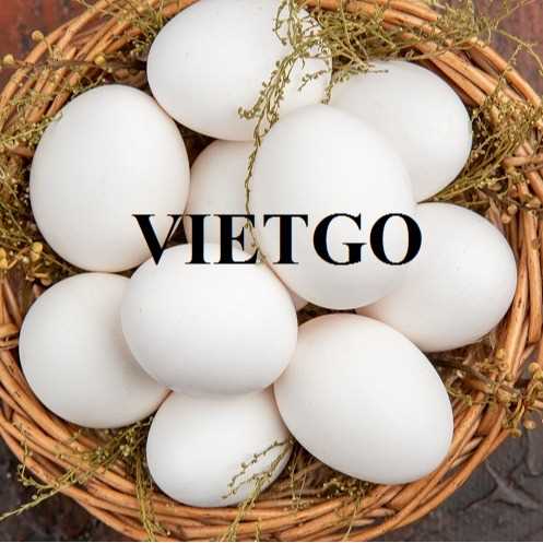 Cơ hội xuất khẩu trứng sang thị trường UAE