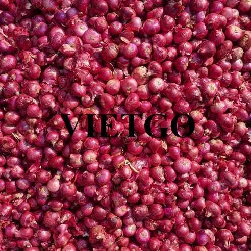 Thương vụ xuất khẩu hành tím sang thị trường Sri Lanka