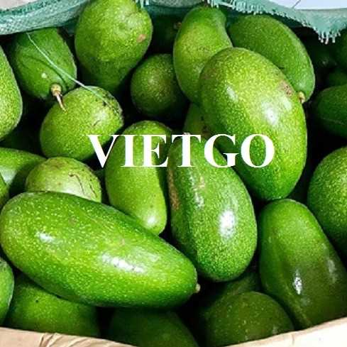 Cơ hội xuất khẩu bơ sang thị trường UAE
