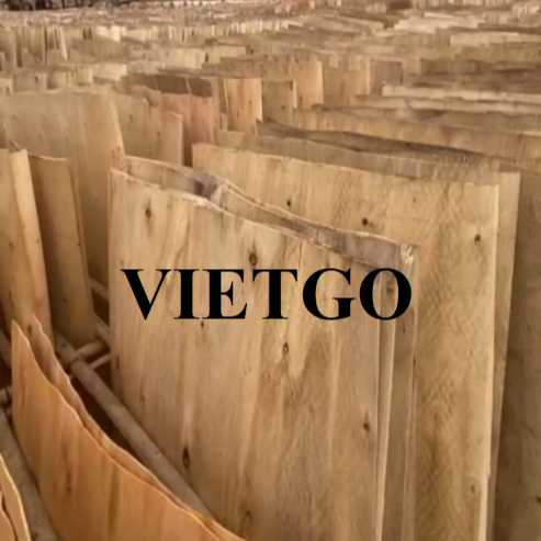 Thương vụ xuất khẩu ván bóc sang thị trường Ấn Độ 