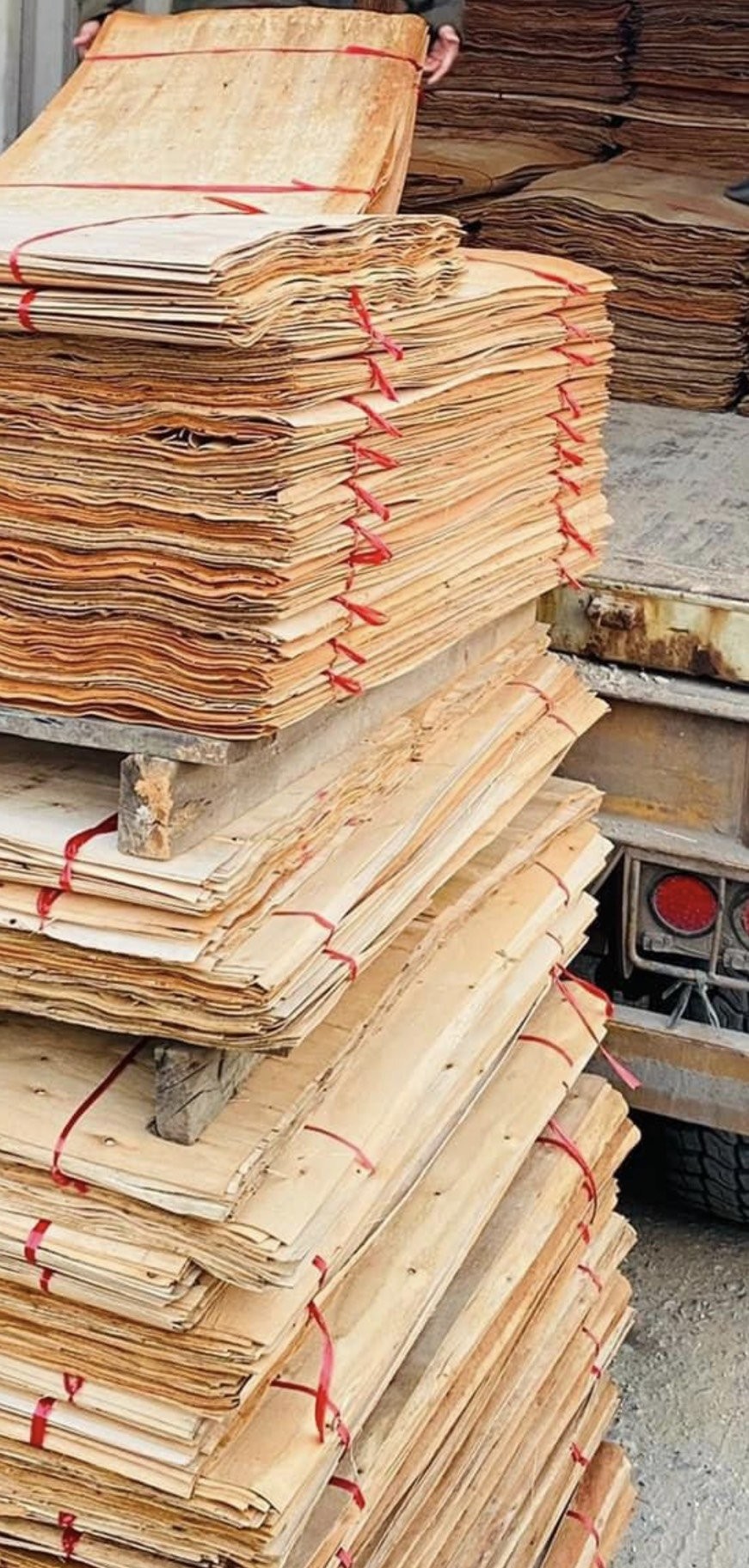 Cần tìm đơn vị vận tải biển mặt hàng ván bóc đi Thổ Nhĩ Kỳ