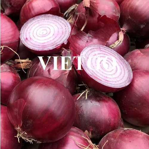 Cơ hội xuất khẩu hành sang thị trường Indonesia